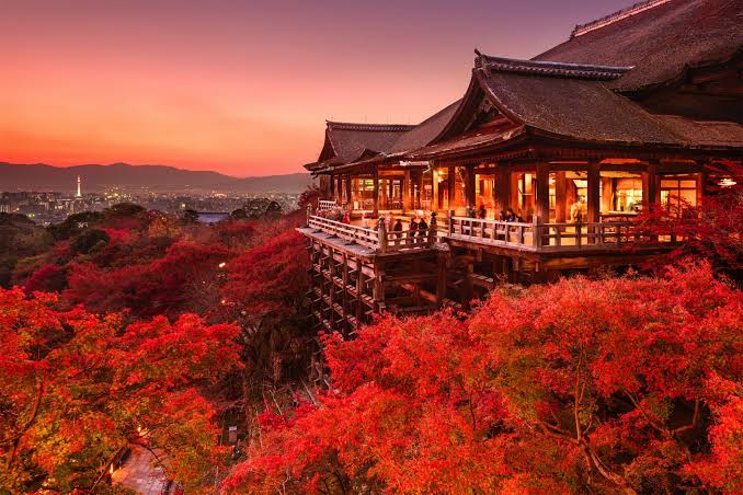 Japan Tours